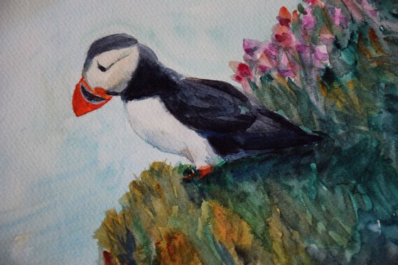 Watercolor painting Icelandic bird Puffin
