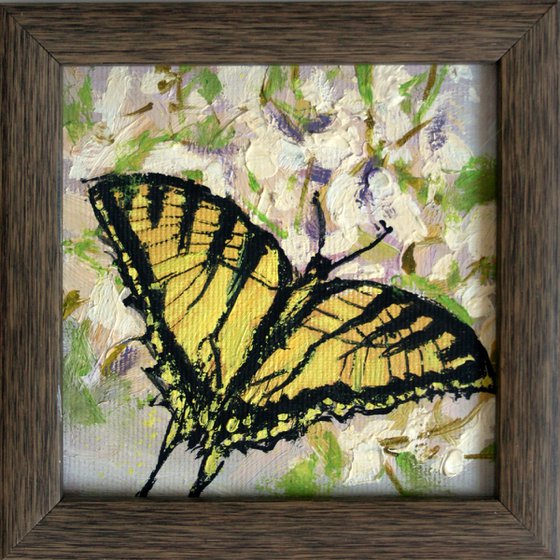 Butterfly... framed / FROM MY A SERIES OF MINI WORKS / ORIGINAL OIL PAINTING