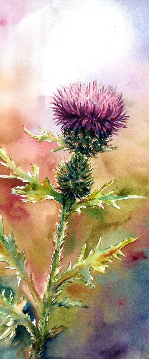 Thistle by Maryna Boiko