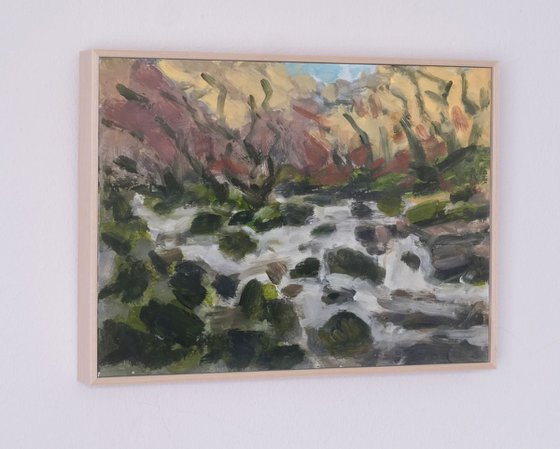 Dartmoor - River Dart No3