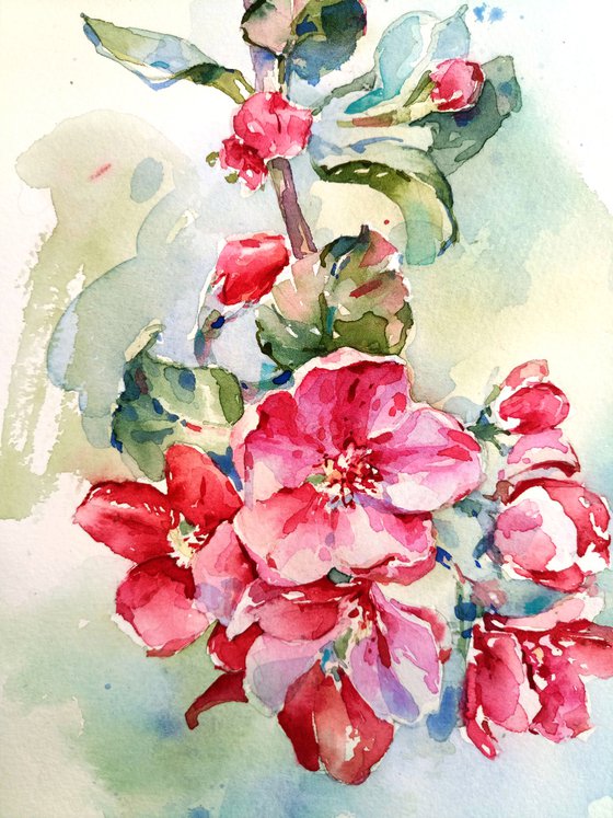 Original watercolor painting "Red apple tree. Branch of a blossoming tree in the spring"