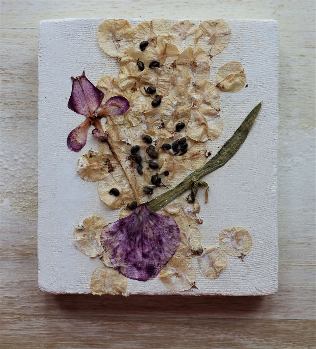 Botanical Collage By Florina Breazu, 4 X 5, April 20Th Ii, Original Artwork