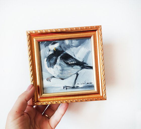 Black and white bird painting original oil and frame 4x4, Bird watching framed artwork, Wildlife art gift for brother