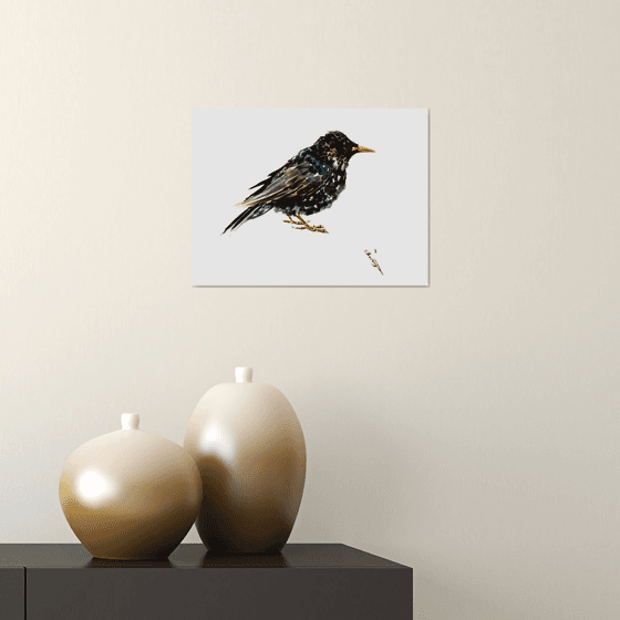 Starling