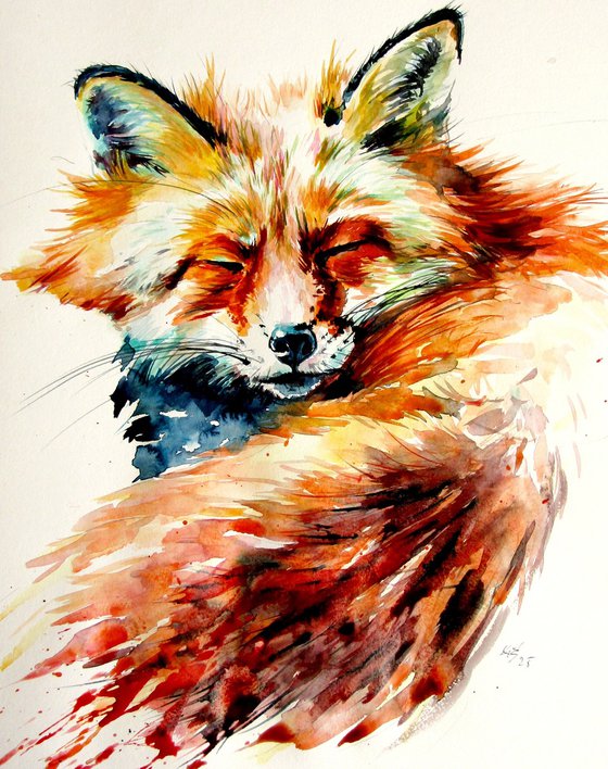Sleeping red fox