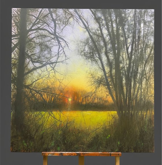 'Golden Light'