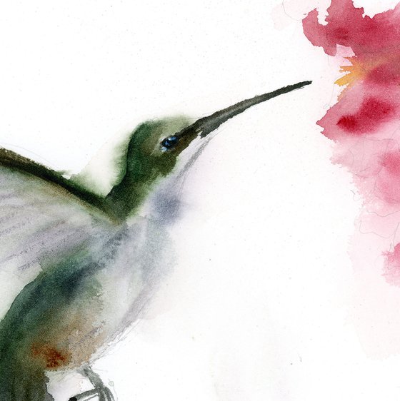 Hummingbird’s Pause