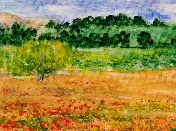 Poppies. Landscape with poppies.
