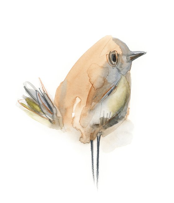 Little birds watercolor painting 3 set