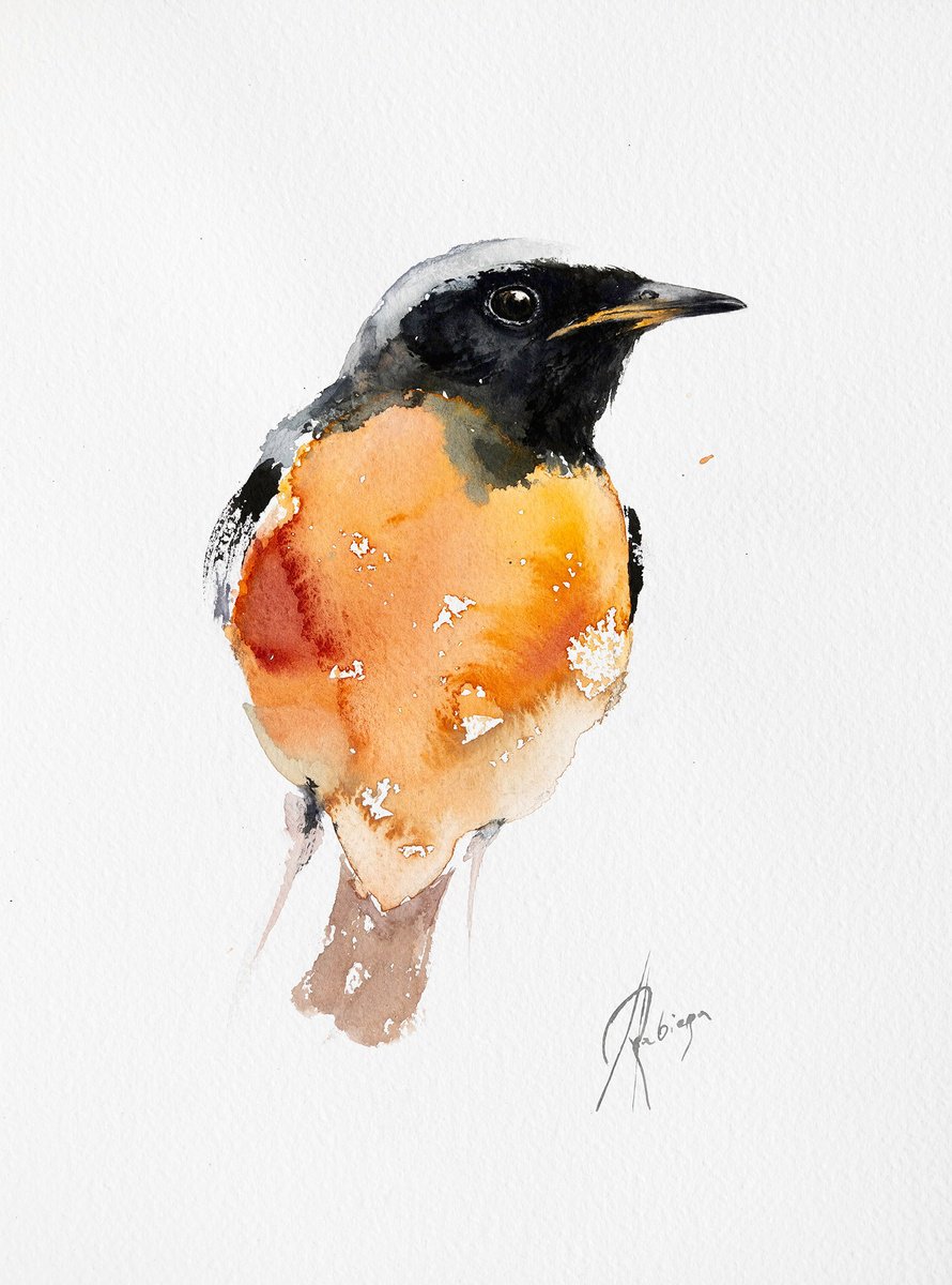 Animal Watercolour By Andrzej Rabiega, 9 X 12, Common Redstart, Original Artwork