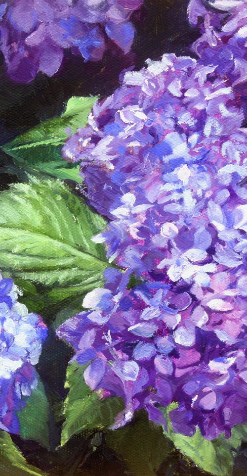 Blue Hydrangeas by Kirsty Bonning