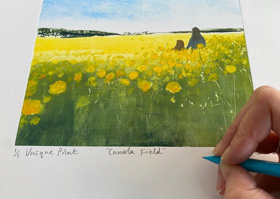 Canola Field