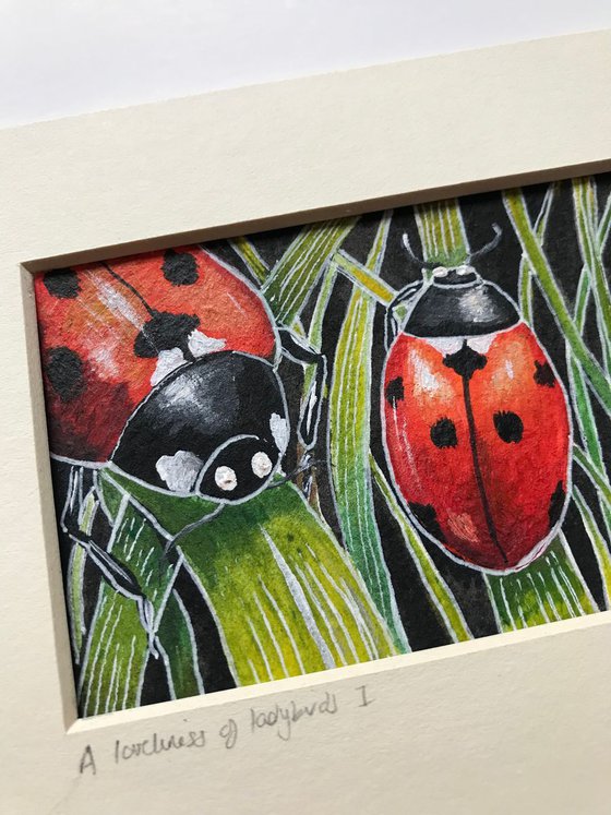 A loveliness of ladybirds 1