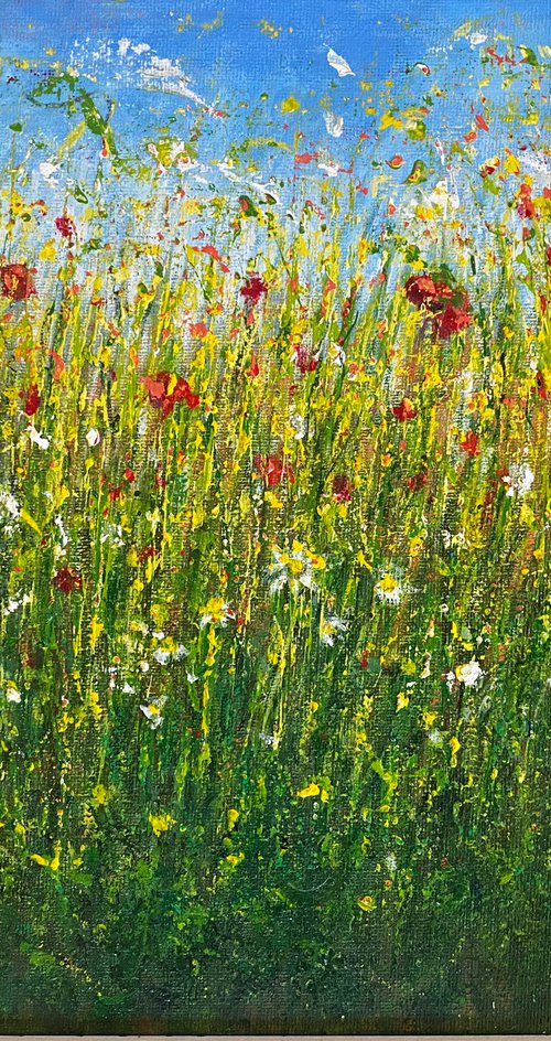 Wild flower meadow by Clare Hoath