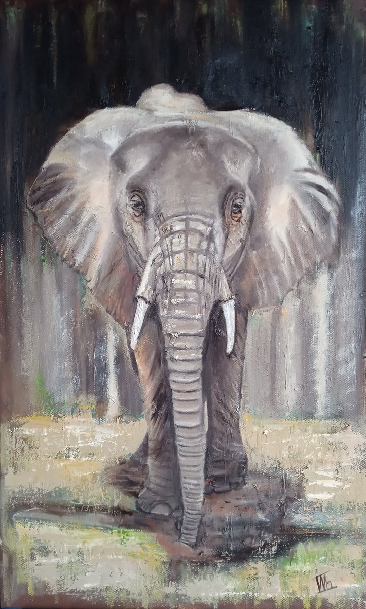 Grey Elephant by Ira Whittaker