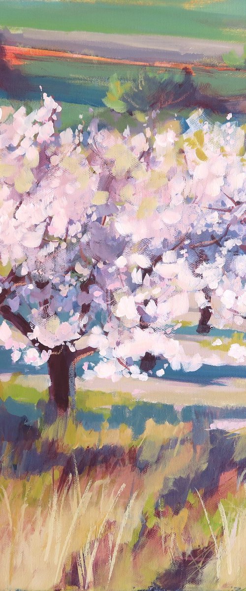 Spanish Almond Orchard by Diana Davydova