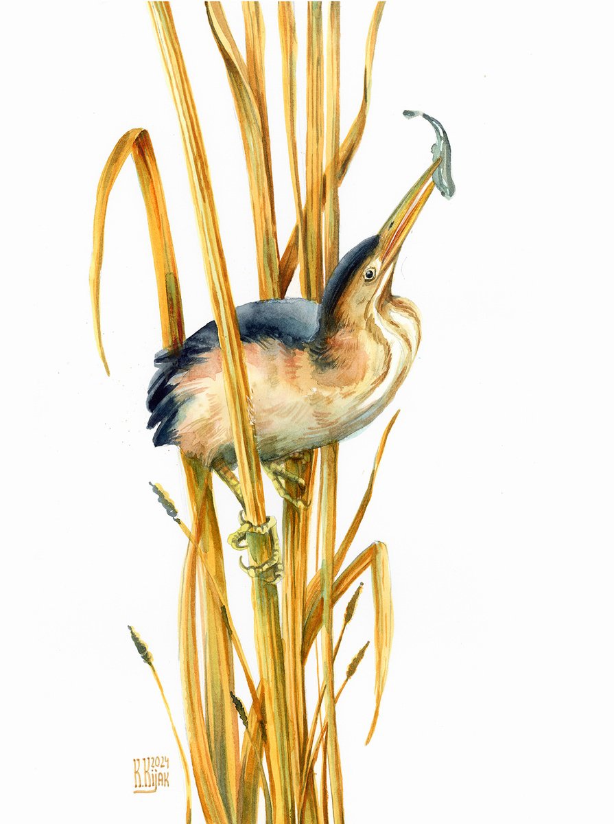 Animal Watercolour By Karolina Kijak, 12 X 16", Little Dottere, Original Artwork