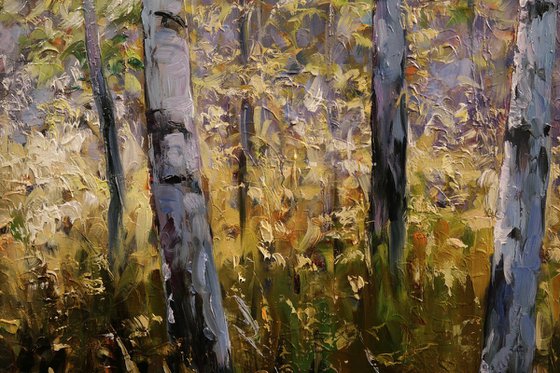 "October Warmth"