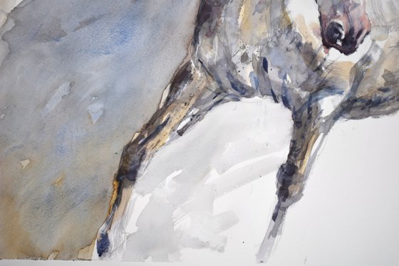 Horse in the trot (70x50)