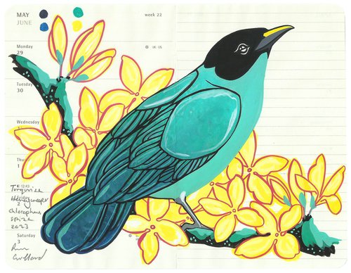 Birds of South America: Turquoise Honeycreeper and Forsythia by Fran Giffard