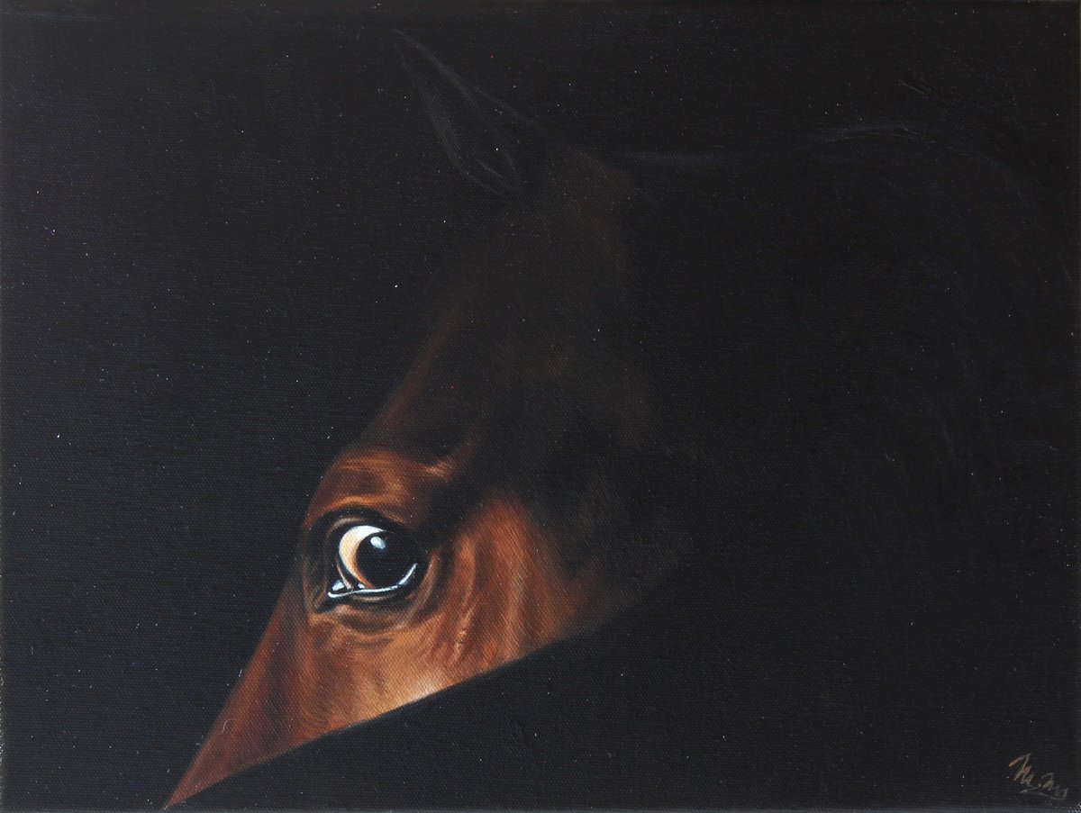 Photorealistic Animal Oil Painting By Marie Madej, 16 X 12", Horse Eye, Original Artwork