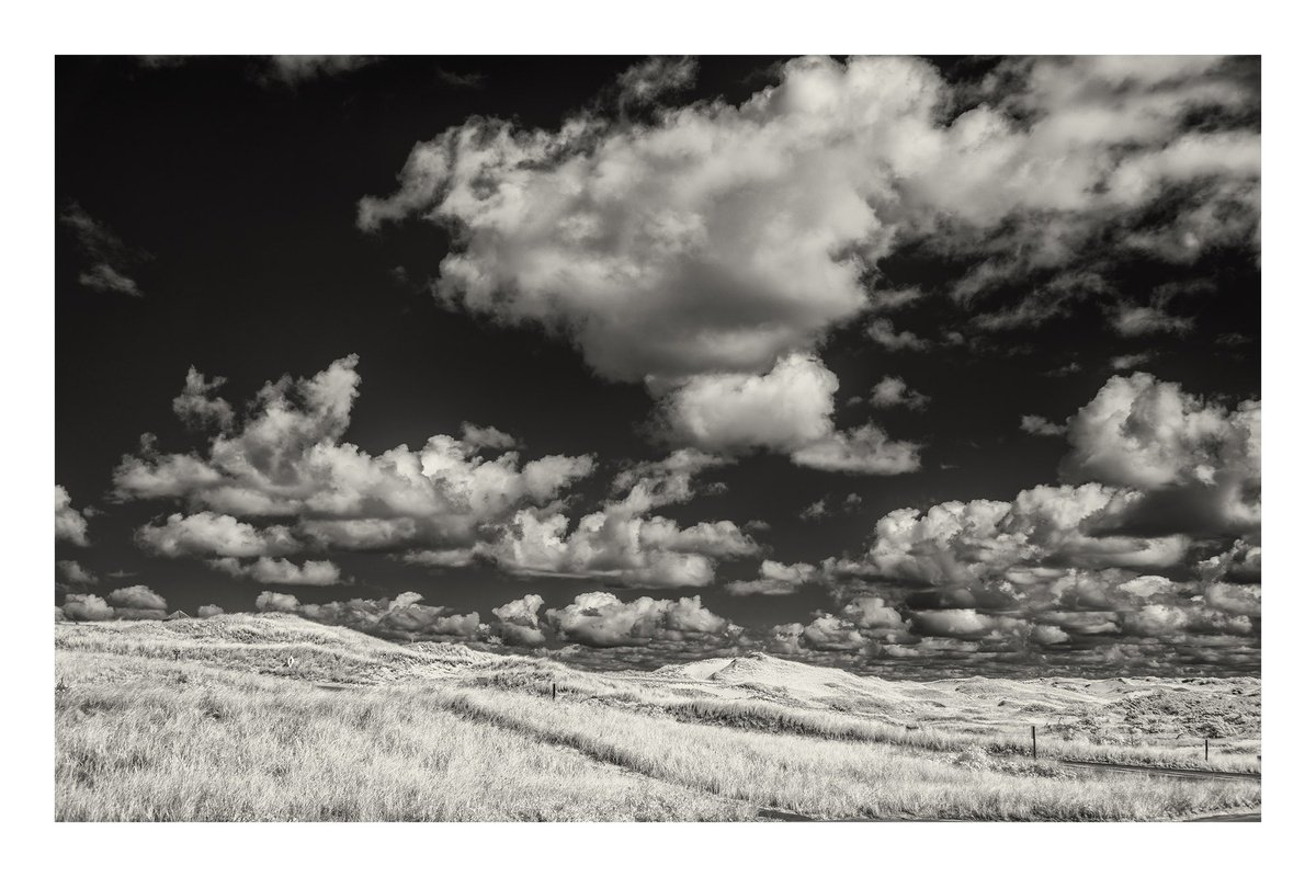 Photorealistic Landscape Photograph By Brooke T Ryan, 24 X 16, Provincelands -24X16, Original Artwork