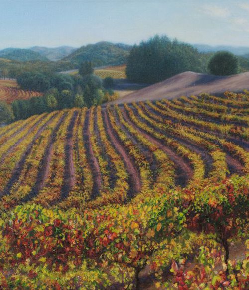 Fall at Chalk Hill Vineyards by Kathy Carney