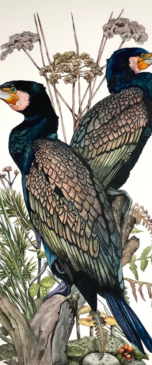 Cormorants by Lisa Lennon