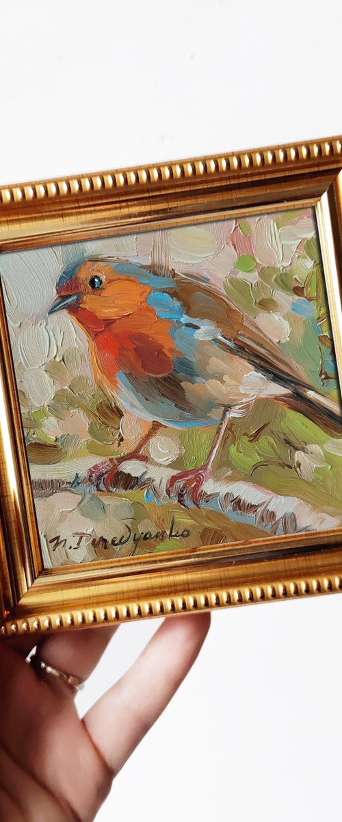 Robin bird by Nataly Derevyanko
