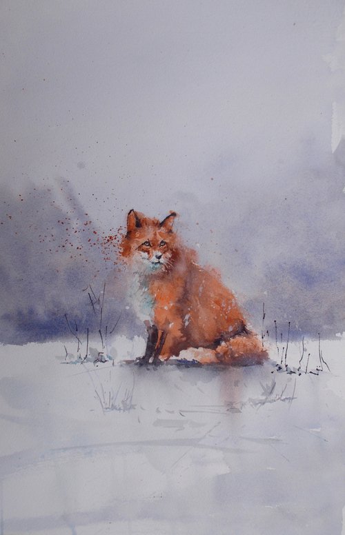fox 4 by Giorgio Gosti