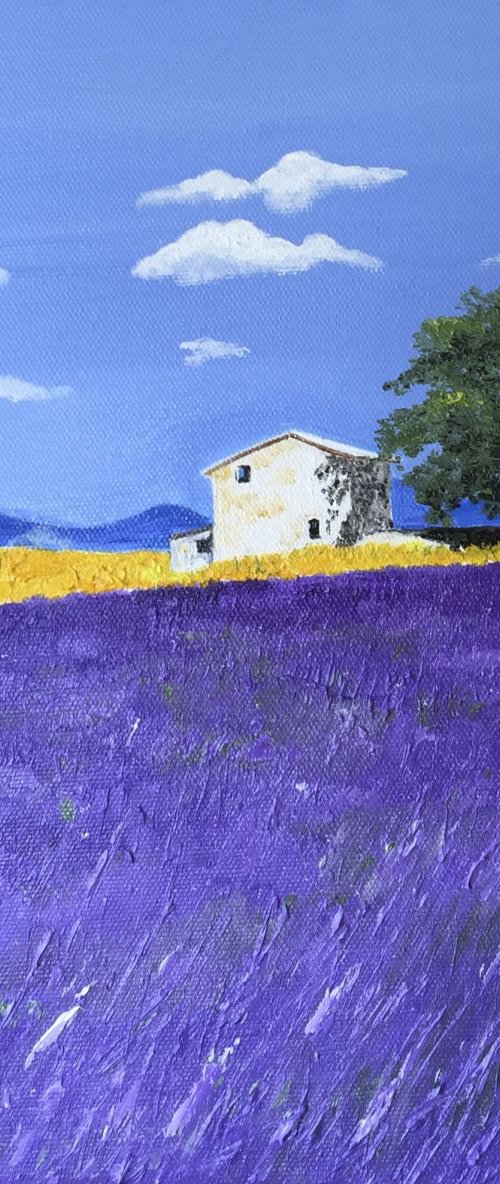SUMMER FIELDS by MAGGIE  JUKES