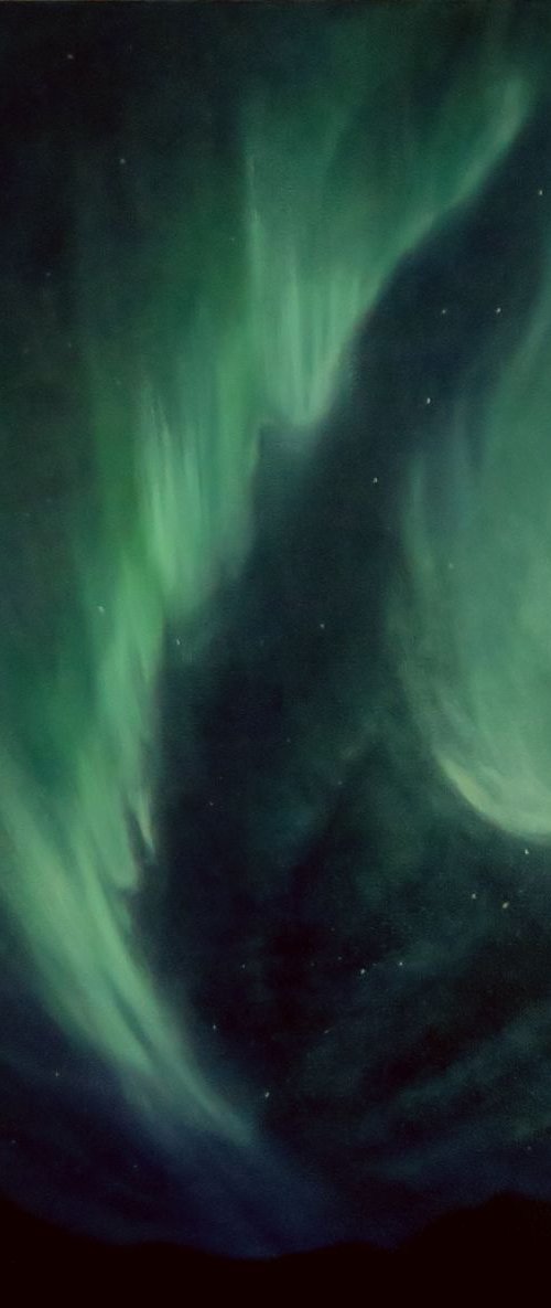 Northern Lights by Vicki Van Vynckt