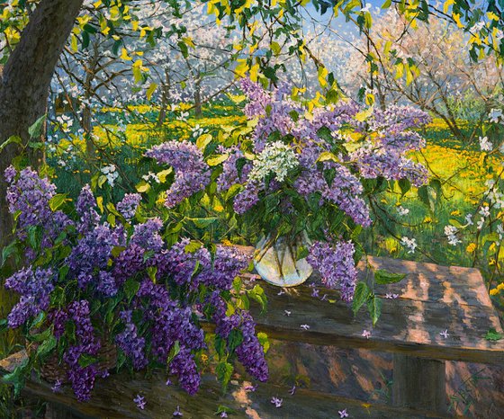 Lilac. Sunny Morning