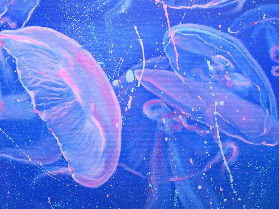 Jellyfish underwater life