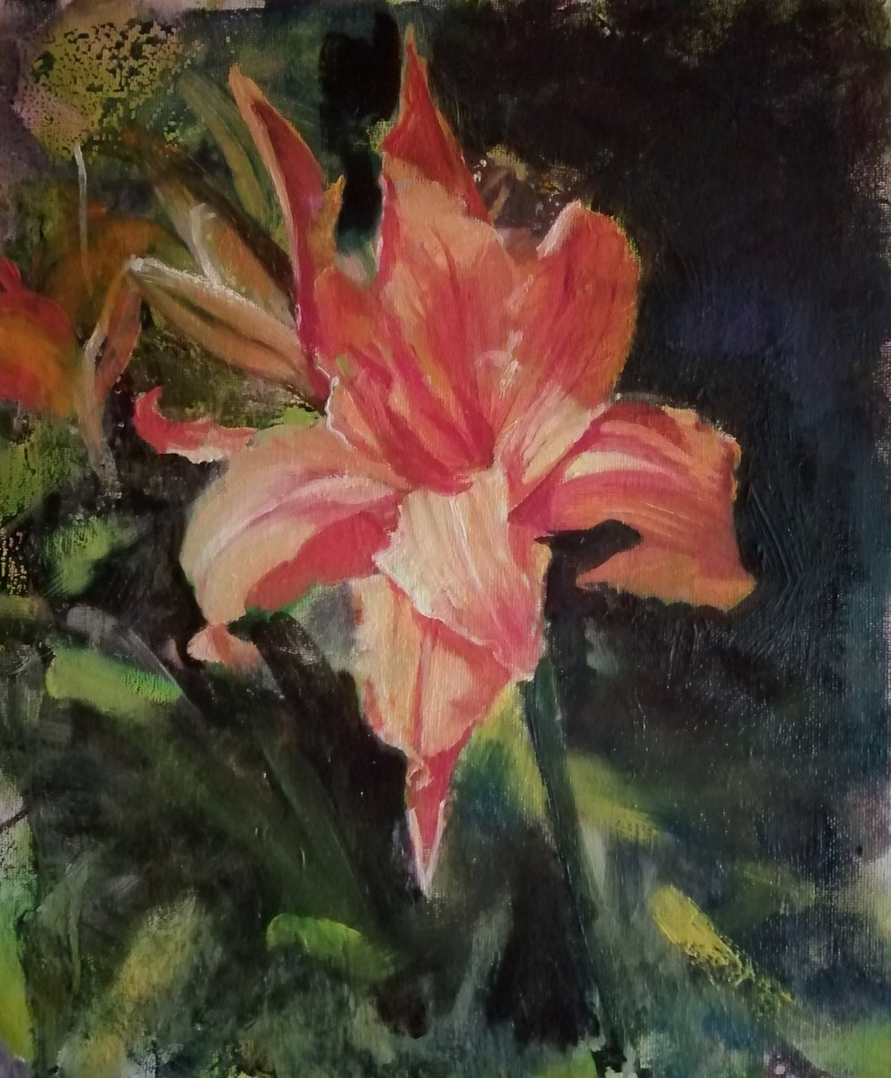 Day lily by Rosemary Burn
