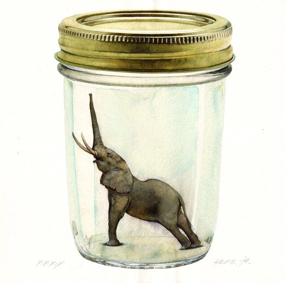 Little Elephant in a Jar
