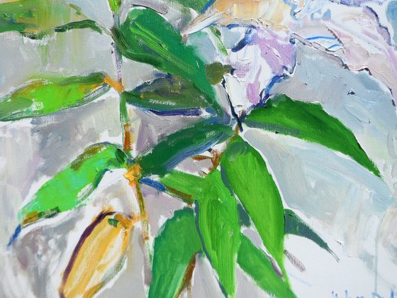 " Lily"