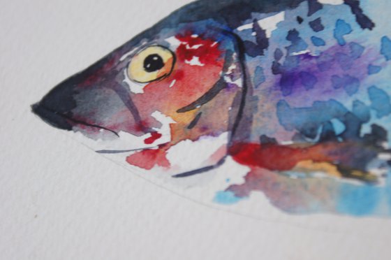 Herring Fish Watercolour