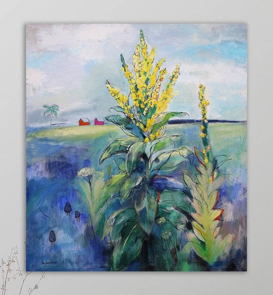 Verbascum