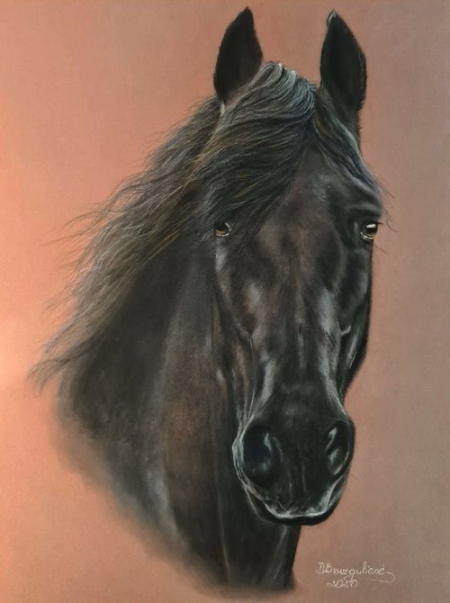 Pastel oil horse painting realism on Paper ,, Ato' by Deimante Bruzguliene