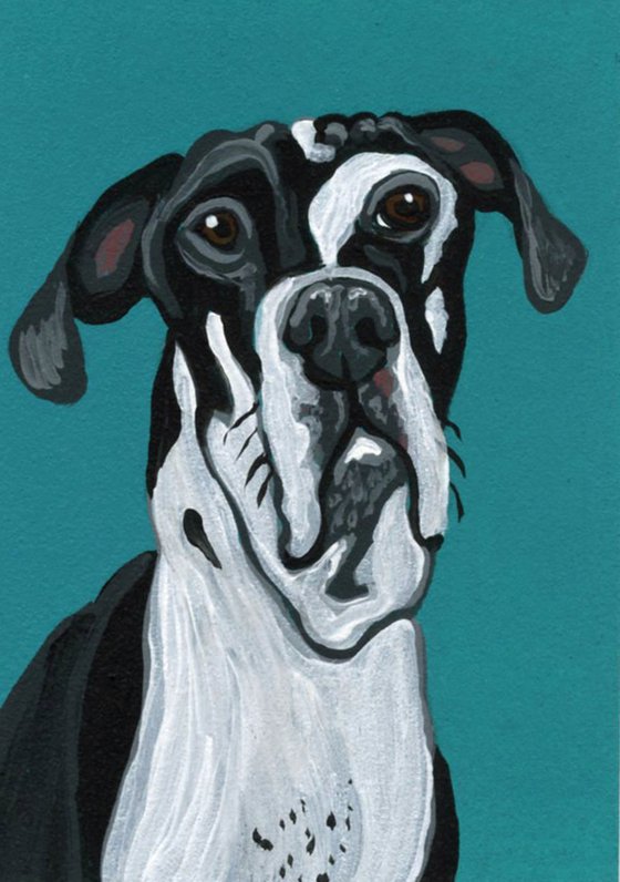 ACEO ATC Original Miniature Painting Harlequin Great Dane Pet Dog Art-Carla Smale