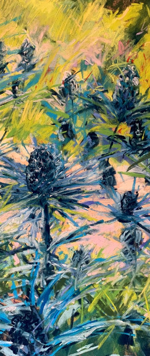 Thistles by Andrew Moodie