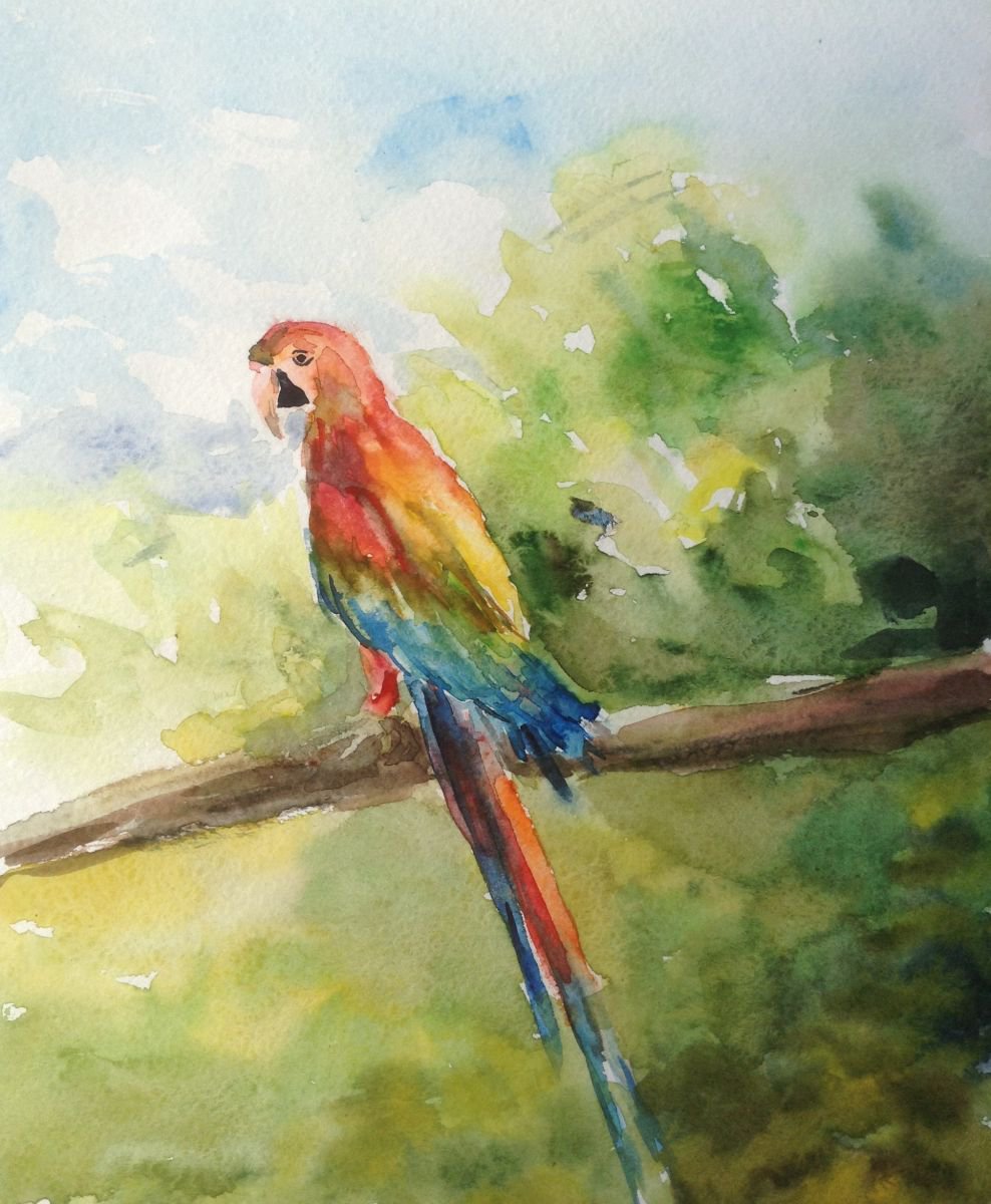Parrot. Zoo. etude 4 by Nata New
