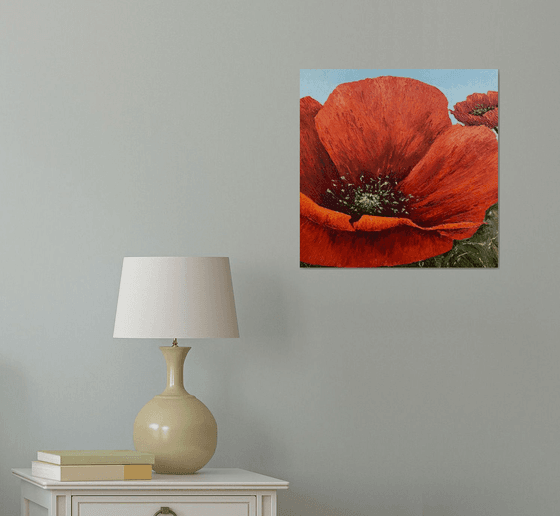 Poppies