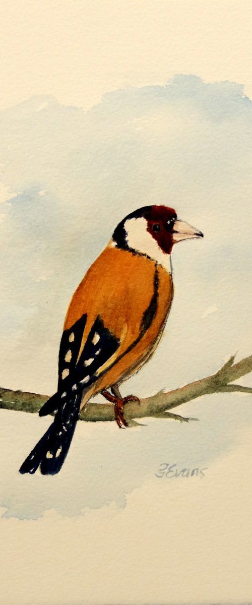 Goldfinch by Graham Evans