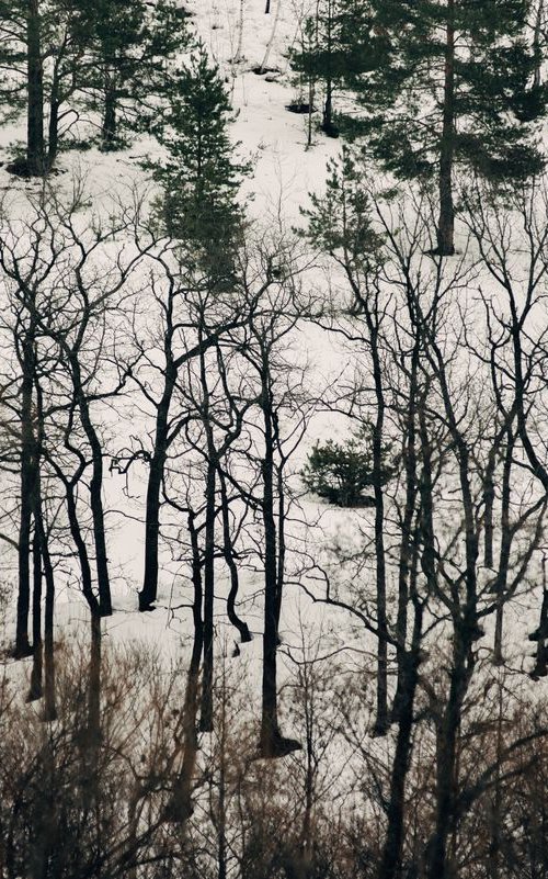 winter tale by Artem Korenuk