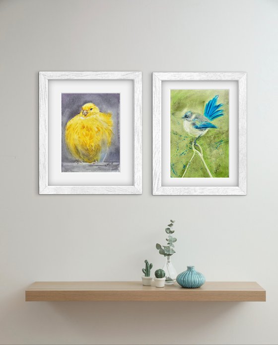 Birds: Canary and Fairywren