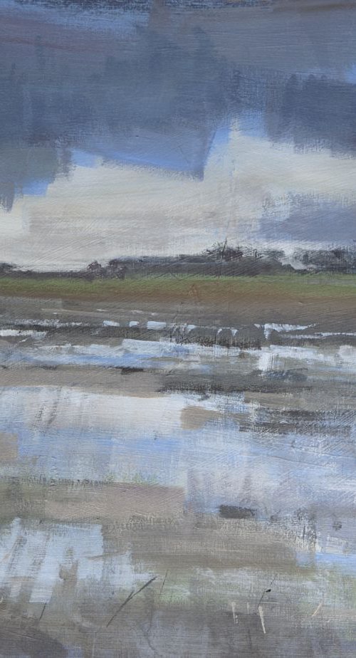 Sleet not snow, wet field in Norfolk. UK. March. by Tom Cringle