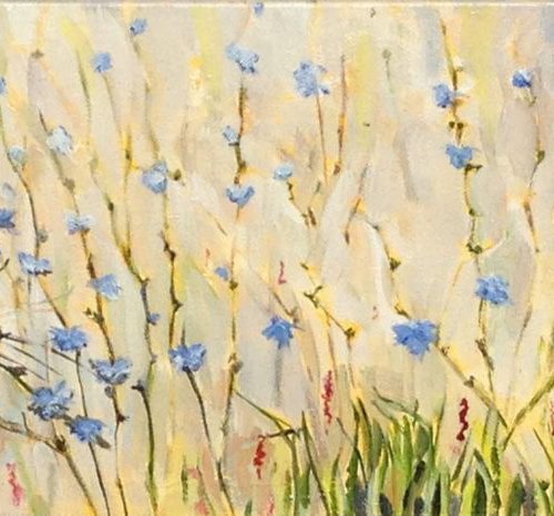 Chicory by Chris Walker