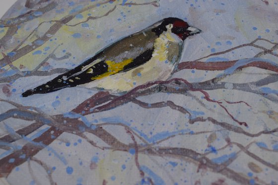 Goldfinch - 1